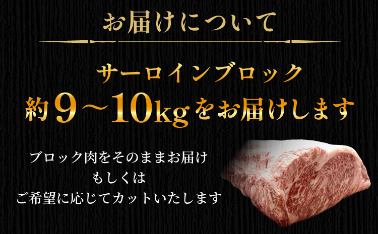 根羽こだわり和牛 サーロイン 半頭分 約9～10kg サーロイン ブロック肉　塊肉 塊 牛肉 国産牛 お祝い パーティ ステーキ 焼肉 BBQ 霜降り すき焼き しゃぶしゃぶ 大人数