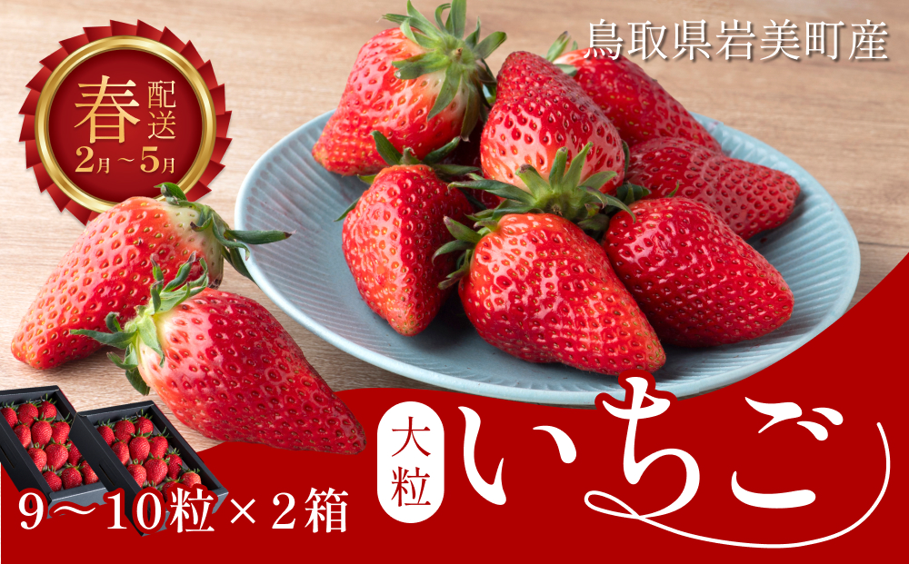 【2027先行予約】米村農園「大粒いちごA」 9～15粒程度×2セット 発送は2027年2月以降【42001】