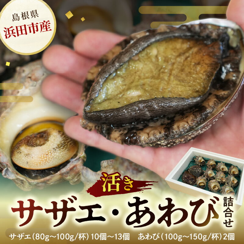 【ふるさと納税】【レビューCP対象】豪華サザエ・あわび詰合せ【本田商店】 海鮮 貝 ふるさと納税 サザエ ふるさと納税 あわび 鮑 詰め合わせ セット BBQ バーベキュー 【033_1775】