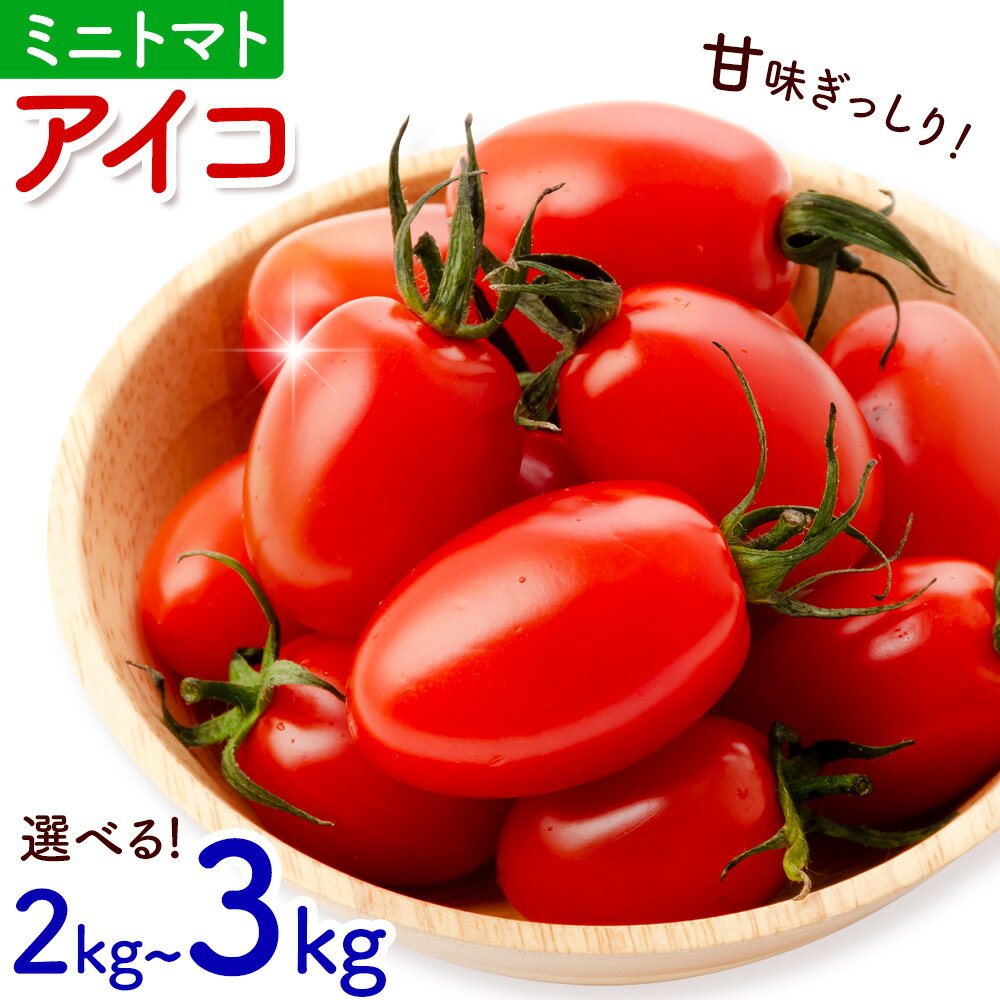 【ふるさと納税】ミニトマト アイコ 約2kg 約3kg ますだふぁーむ《7月上旬-11月末頃出荷》熊本県 南阿蘇村 アイコトマト 野菜 旬 夏野菜 トマト
