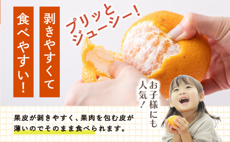 [先行予約] 佐賀産 デコポン8〜12玉(約2.5kg箱) 41nf-004