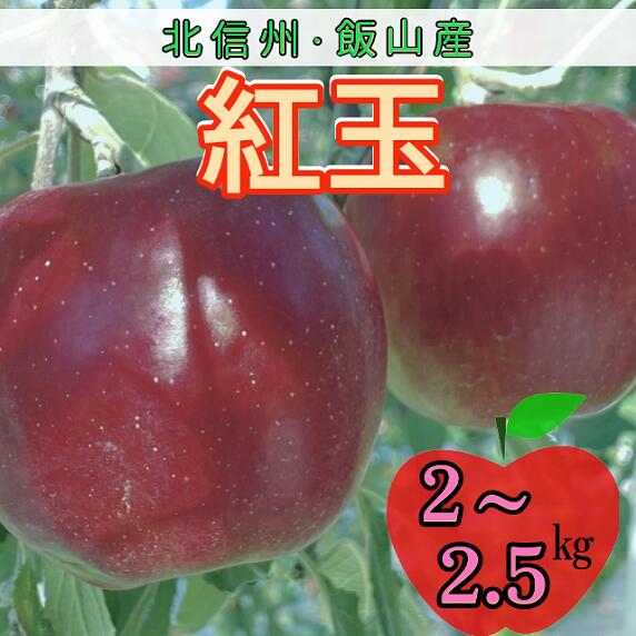 【ふるさと納税】＜先行予約＞ 紅玉【約2～2.5kg(9〜14玉)】(7-A22)＜出荷開始：2025/10月上旬～中旬頃＞【 こうぎょく 林檎 りんご リンゴ 果物 くだもの フルーツ 長野 長野県 飯山市 ギフト プレゼント 記念日 誕生日 父の日 母の日 敬老の日 記念品】