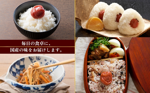 なつかしの味 梅干し 各140g（小梅3パック、南高梅3パック）＆手作り切り干し大根 40g×3パック｜昔ながらのすっぱいうめぼし ふっくら果肉 梅 しそ 塩分14％  大根 だいこん 無添加 手作り