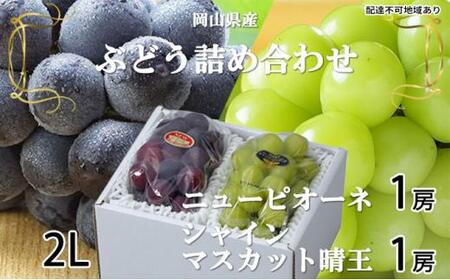 ぶどう 2025年 先行予約  ニュー ピオーネ 1房 約500g シャイン マスカット 晴王 1房 約500g（2Lサイズ）詰め合わせ 岡山県産 国産 フルーツ 果物 ギフト