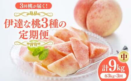 ＜2026年夏から開始の定期便＞福島の桃 3回桃が届く！伊達な桃3種の定期便 (中) 果物 先行予約 フルーツ 桃 モモ もも 福島県 伊達市 先行予約 フルーツ 果物 もも モモ momo  F20C-789