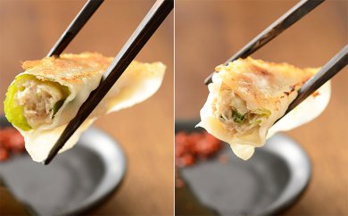 餃子 いえやす自慢の浜松餃子 4種を楽しむバラエティーセット 餃子