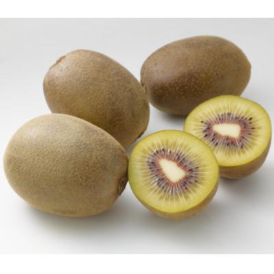 ふるさと納税 東かがわ市 さぬきエンジェルスイート　約2.2kg |  | 01