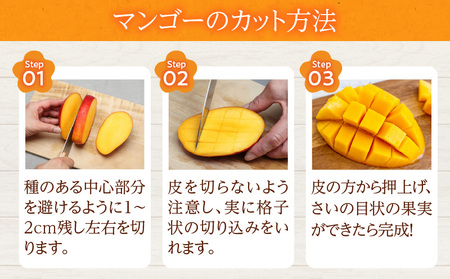 先行予約 数量限定 南国 宮崎 完熟マンゴー 3L × 2玉 A級品 化粧箱入り _DB31-24