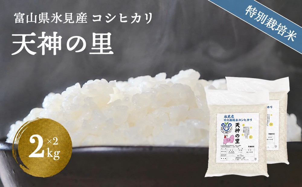 【特別栽培米】 令和8年産 富山県産 コシヒカリ 天神の里２kg×２袋