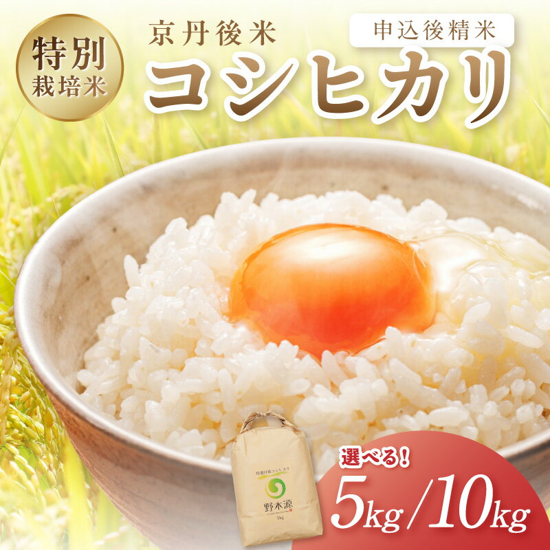 【ふるさと納税】＼容量が選べる！／王道のお米★ 2025年産 京丹後米 特別栽培米コシヒカリ 5kg 10kg 注文後精米 米 京丹後 特別栽培米 農家直送 米 こめ ふるさと 納税 コシヒカリ 精米 ふるさと 納税 こしひかり ふるさと 納税 米 精米 京都産 京丹後 野木源