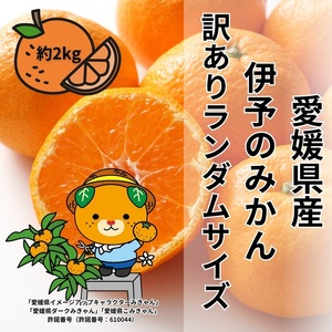 訳あり 伊予のみかん 約2kg サイズミックス ランダム 【2025年11月下旬から順次発送予定】 みかん 愛媛県産 数量限定 先行予約 柑橘 伊予市｜A121