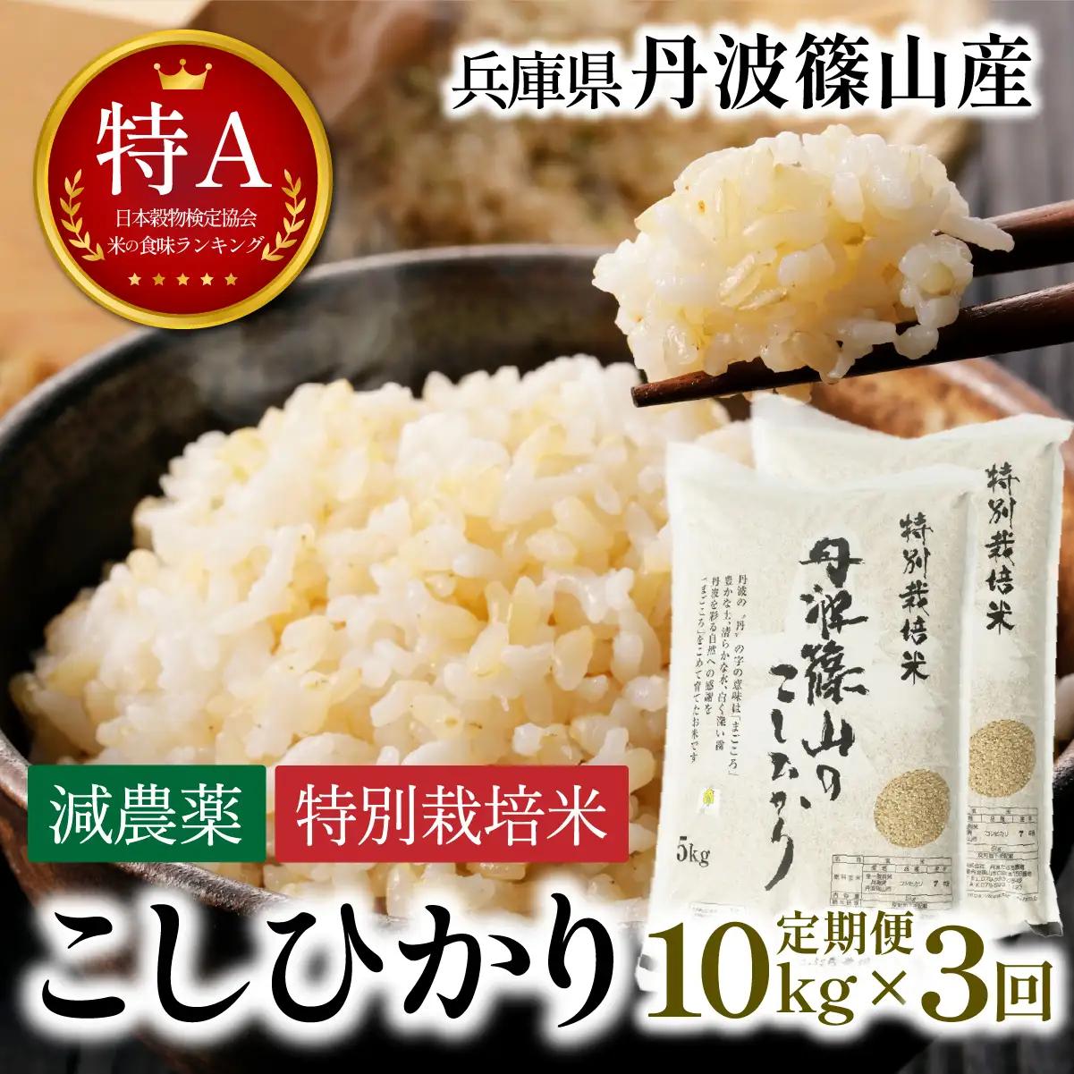 玄米 定期便 新米 丹波篠山産 特別栽培米コシヒカリ 10kg×3回 定期便 玄米