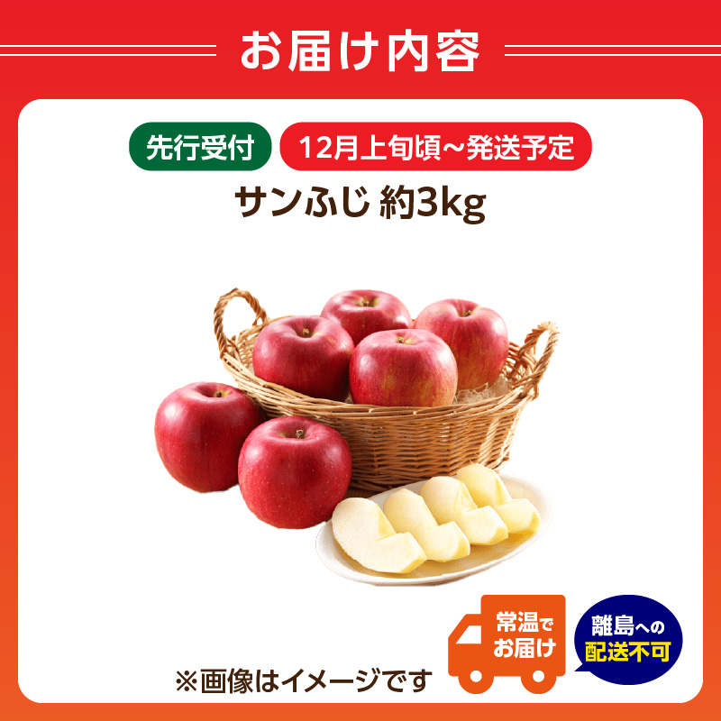《先行受付》サンふじ約3kg 【2026年12月上旬頃～発送予定】【山形りんご・大江町産】