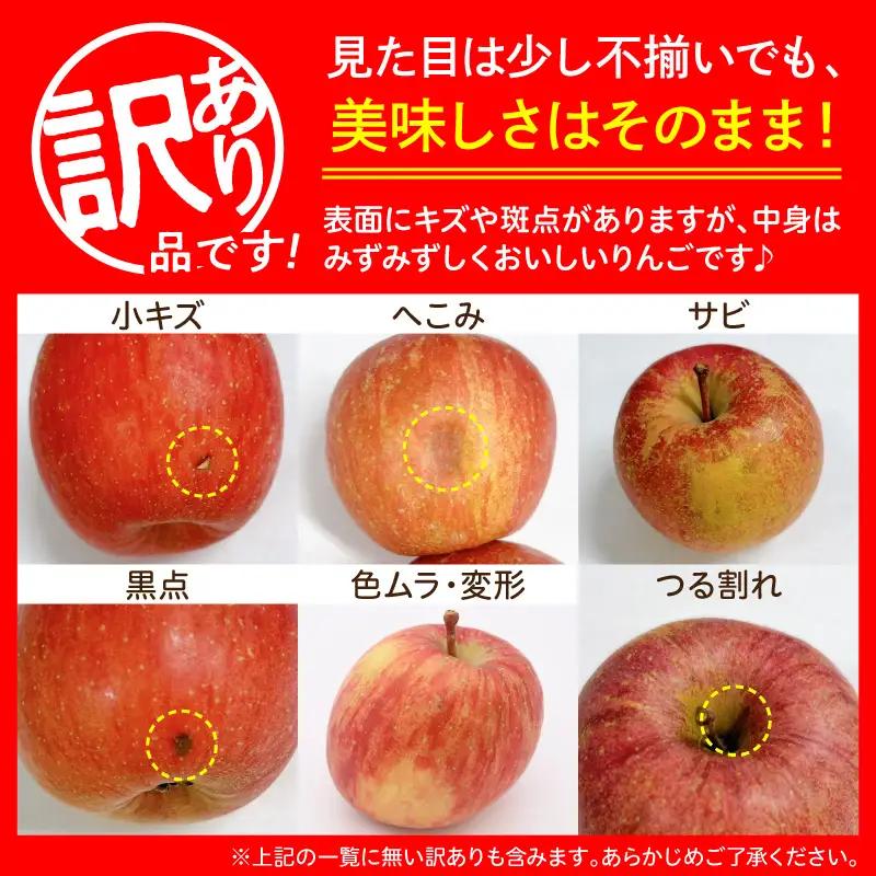 【2027年2月上旬発送】《訳あり》 りんご 約10kg サンふじ 青森産 りんご