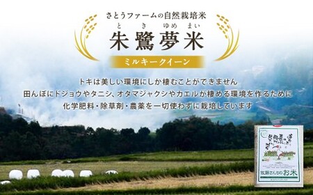 【令和7年産】さとうファームの自然栽培米（白米5kg）白米 お米 ふっくら つやつや おいしい 美味しい 贈り物 単一原料米