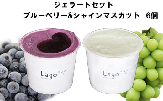 [農家直送]ジェラートセット ブルーベリー＆シャインマスカット[持田農園]【1_2-044】
