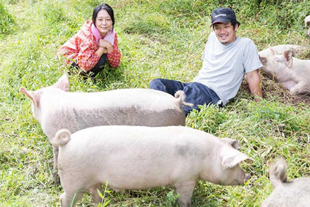 THE HOUBOQ 豚肉【12ヶ月定期便】Aセット HB-129