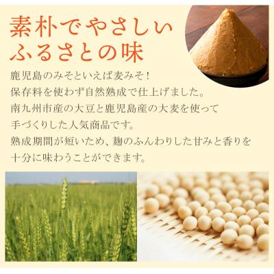 ふるさと納税 南九州市 手作り麦みそ900g×6個 |  | 01