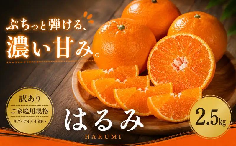 ＜訳あり 愛媛県産はるみ 合計約2.5kg＞『2027年2月上旬～3月下旬迄に順次出荷予定』甘い ご家庭用 果汁 果物 くだもの フルーツ みかん オレンジ 柑橘 人気柑橘 特産品 株式会社OSN 愛媛県 西予市 【常温】OOS0017