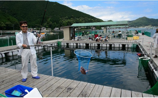 釣った魚が食べれる！ゆったり満喫宿泊付きおもてなし無料券【F21】
