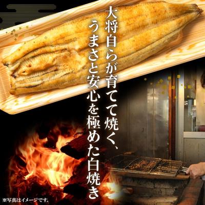 ふるさと納税 香南市 【3回定期便】うなぎ屋きた本 うなぎ白焼き120g 3尾(無頭) Wun-00l90 |  | 01