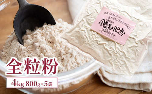 全粒粉 4kg (800g×5袋) 国産 信州産 大容量 小麦 粉 お菓子作り パン作り パスタ 料理 生地 食物繊維 ビタミン ミネラル 健康 健康食品 信州 長野 長野県 上田市