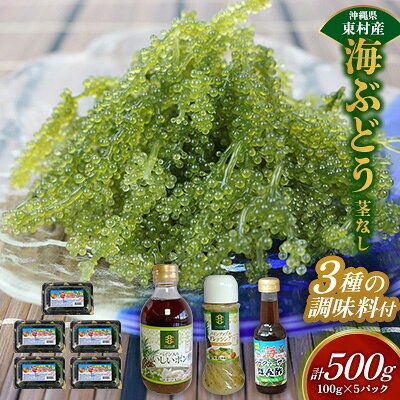 【ふるさと納税】美ら海 沖縄県産 海ぶどうセット／茎なし500g（100g×5パック）＆調味料3種セット 海ブドウ 海ぶどう うみぶどう パック 茎なし ポン酢 ドレッシング たれ付き クビレズタ 海鮮 海藻 プチプチ おつまみ 沖縄料理 ご当地 特産品 グルメ 常温 沖縄県 東村