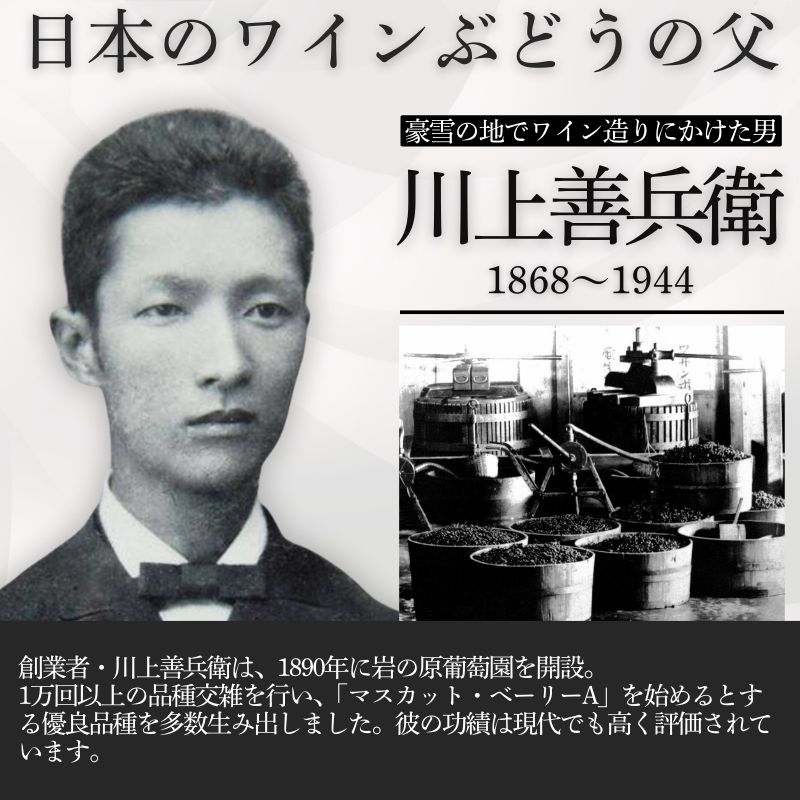 ワイン 岩の原ワイン 深雪花 白 12本 お酒 岩の原 シャルドネ ローズ・シオター 酒 おすすめ 新潟 上越 最短3日で発送