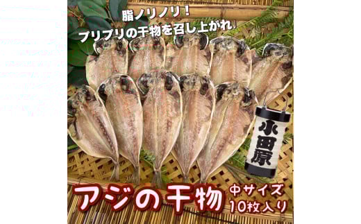 鯵の干物 中サイズ 10枚セット