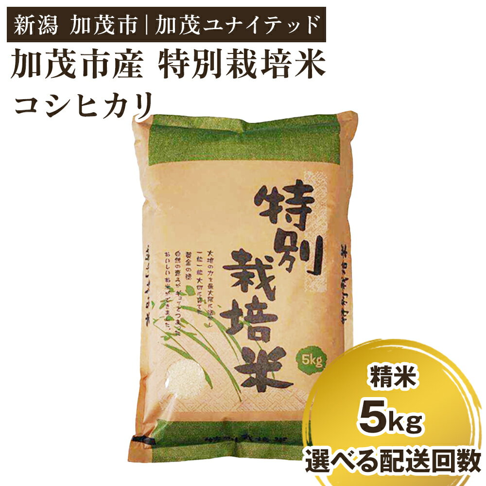 【ふるさと納税】【令和6年産米】加茂市産 特別栽培米 コシヒカリ 精米5kg 選べる配送回数 （通常配送1回〜定期便3回） 栽培期間中は化学肥料・農薬不使用 新潟米 お米 白米 こしひかり 加茂ユナイテッド