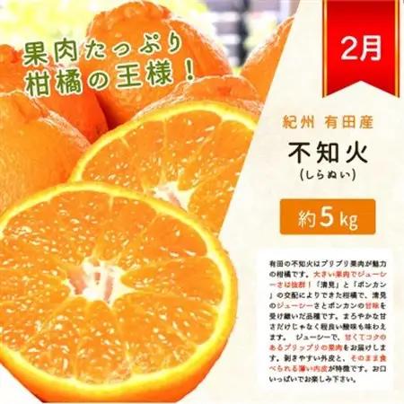 【発送月固定定期便】紀州和歌山産旬のフルーツセット(みかん・不知火・レモン・清見)全4回【4005765】