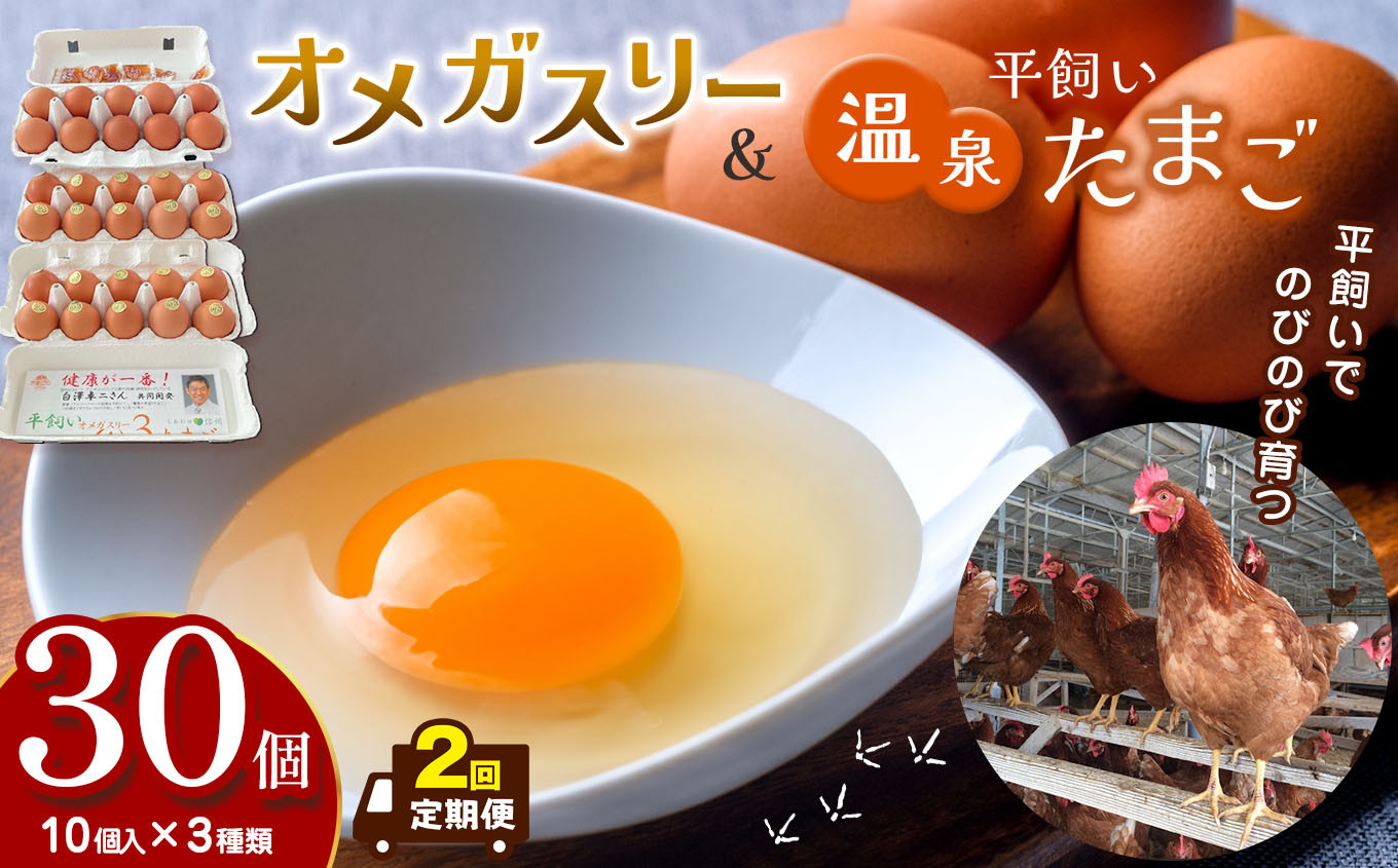 
            【定期便2回】オメガスリーたまご20個、平飼い温泉たまご10個詰め合わせ（合計3パック、30個入り） ｜ ふるさと納税 信州 鶏 卵 たまご 温泉卵 長野県 松本市 美味しい
          