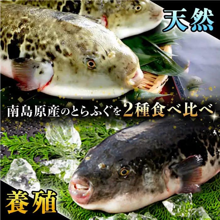 【2027年3月下旬-発送】【豪華食べ比べ！】南島原の天然・養殖とらふぐ刺身セット 各5-6人前 / ふぐ フグ 河豚 トラフグ ふぐ刺し / 南島原市 / 大和庵 [SCJ034]