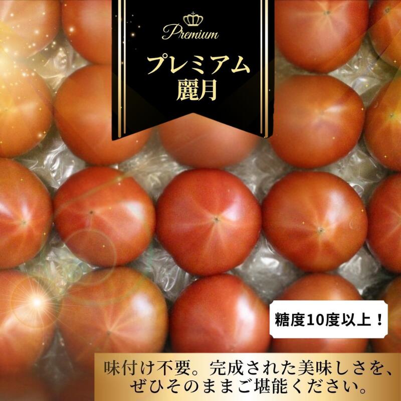 【ふるさと納税】 トマト 【糖度10度以上！】プレミアム麗月1kg ※沖縄・離島配送不可 1kg 2kg / とまと 野菜 産地直送 農家直送 れいげつ