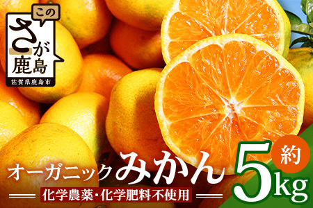 【先行予約】 オーガニック みかん 約5kg 【11月頃～12月頃発送予定】 国産 有機栽培 B-70