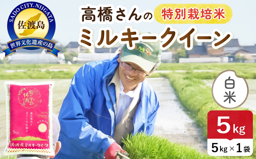 
                  令和8年産 佐渡島産ミルキークイーン 白米5kg 特別栽培米 | 新潟県産ミルキークイーン 新潟産ミルキークイーン 佐渡産ミルキークイーン ミルキークイーン 特別栽培米 お米 米 白米 精米 おこめ コメ 5キロ にいがた さど 新潟県 佐渡市
                