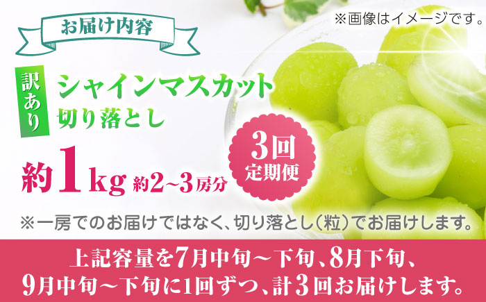 【先行予約】　【3回定期便】　訳あり シャインマスカット 切り落とし 約1kg  【合同会社 社方園】 [ZBZ047]