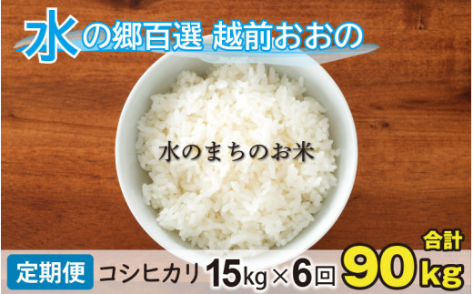 【令和7年産】【6ヶ月定期便】こしひかり 15kg×6回 計90kg（白米）「エコファーマー米」－水のまちのお米－
