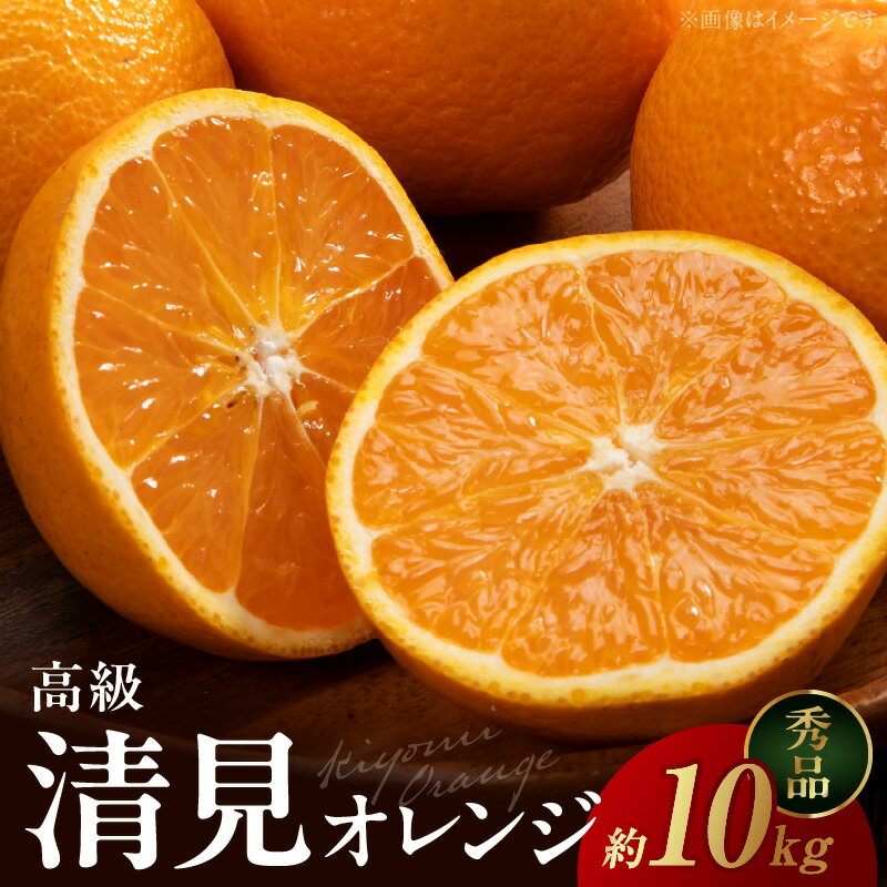 【ふるさと納税】【限定】 清見オレンジ 約 10kg 秀品 高級 厳選 大きい 果実 さっぱり 甘み みずみずしい 香り ジューシー 爽やか 丁寧 箱詰め 贈り物 ギフト 贈答 清見 オレンジ 有田 みかん 果物 フルーツ デザート 食品 お取り寄せ 和歌山県 湯浅町 送料無料