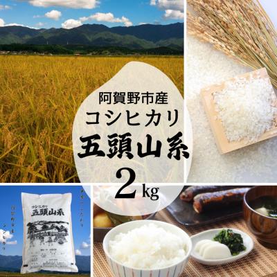 ふるさと納税 阿賀野市 【令和7年産】「米屋のこだわり阿賀野市産」コシヒカリ2kg |  | 01