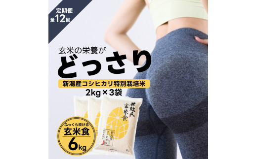 【令和7年産】【12ヶ月定期便】【炊飯器で普通に炊ける玄米】 ふっくら玄米食 6kg（2kg×3）×12回 新潟県阿賀野市産 米杜氏 壱成 特別栽培コシヒカリ 1H35265