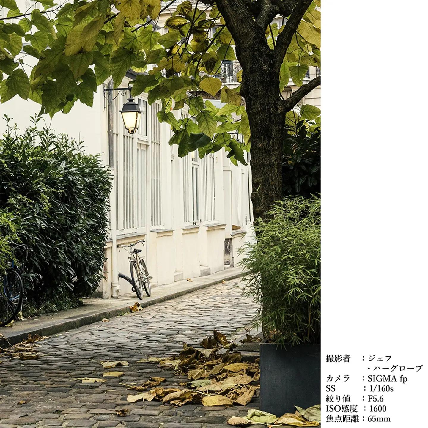 SIGMA 65mm F2 DG | Contemporary【Lマウント】（ブラック）