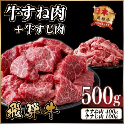 飛騨牛 牛すね肉・牛すじ肉煮込み料理セット 計約500g【冷蔵便】訳あり A4〜A5等級 黒毛和牛【配送不可地域：離島】【1758525】