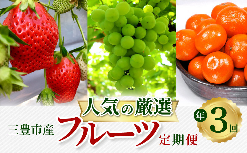 
            【ふるさと納税】【配送不可地域：北海道・沖縄県・離島】人気の厳選 フルーツ 定期便(年3回) いちご 400g シャインマスカット 1房 (約550g) みかん (約5kg) さぬきひめいちご 金時紅みかん 果物 旬の季節にお届け 年3回お届け お取り寄せ 香川県三豊市産 送料無料
          