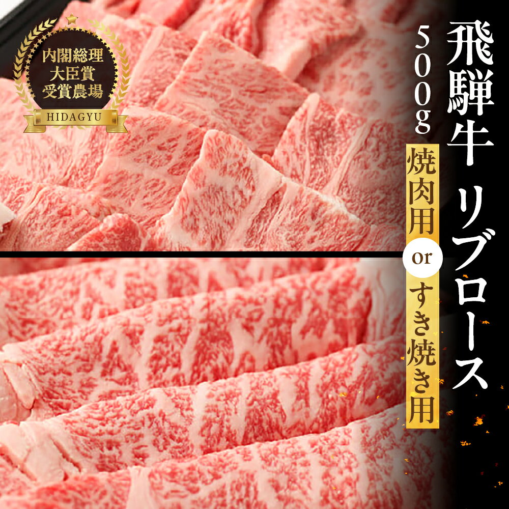 【ふるさと納税】　　飛騨牛 リブロース　500g（焼肉用　または）【冷凍】ギフト 和牛 ロース 焼肉 すき焼き 牛肉 肉 和牛 赤身 お中元 焼肉用 50000円