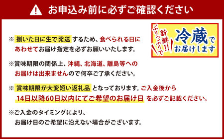 【配送日指定必須】 とらふぐ 刺身 ・ ふぐ鍋 セット 白子付き (4～5人前) ふぐ フグ