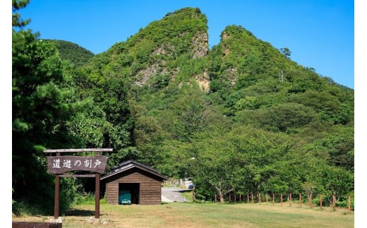 【令和8年産】佐渡産 佐渡産ササニシキ 精米9kg だるま庵農園 | 新潟県産ササニシキ 新潟産ささにしき 佐渡産ササニシキ ささにしき ササニシキ お米 米 精米 おこめ コメ 9キロ 農家直送 に
