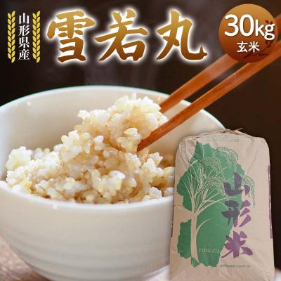 ふるさと納税 戸沢村 令和7年度 山形県産 雪若丸 玄米 30kg F7W-0269