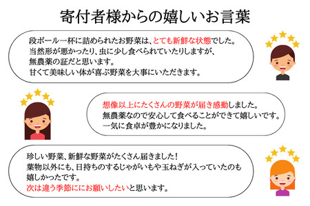 いそベジ農場の季節の野菜詰め合わせセット　定期便　10回便〔IV-10〕