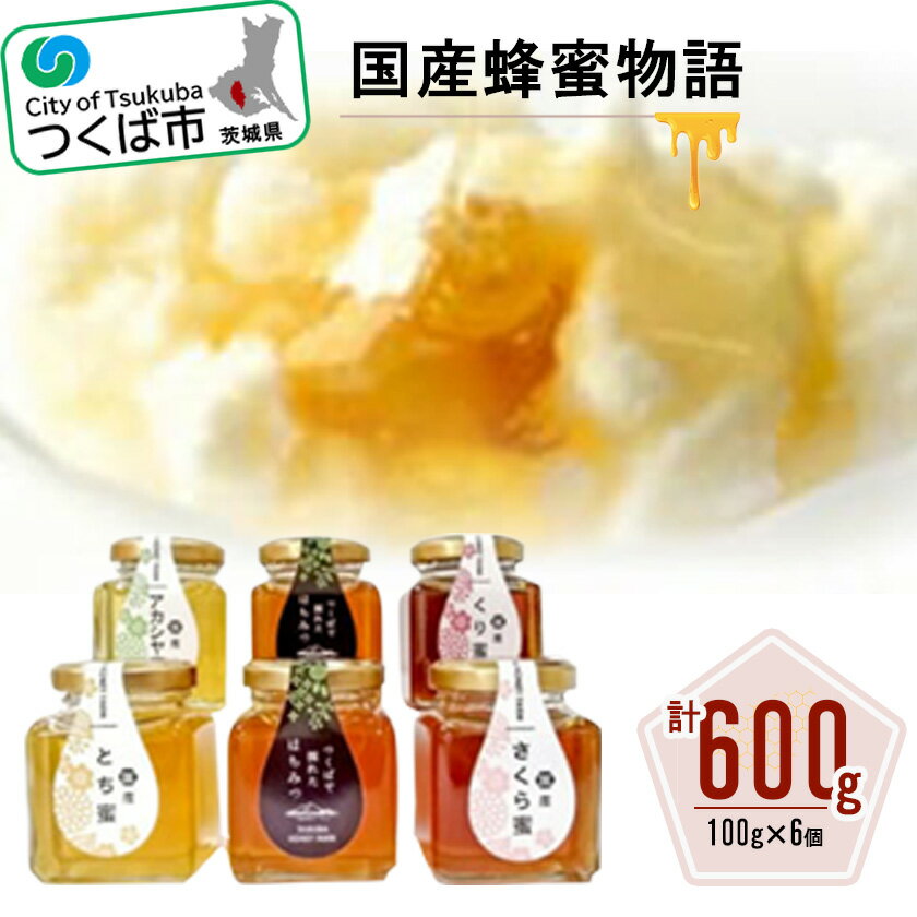 【ふるさと納税】国産蜂蜜物語 国産はちみつ 100g×6個 ギフトセット | 茨城県 つくば市 栄養 ハチミツ 健康 贈り物 プレゼント 詰め合わせ ビタミン 朝食 疲労回復 自然食品 美容 ナチュラル 甘味料 純粋蜂蜜 腸内環境 抗菌作用 免疫機能 1365670